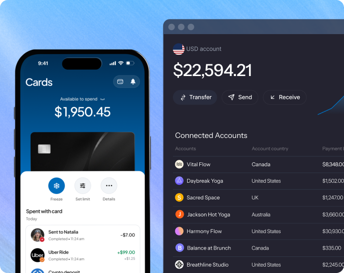USD account dashboard showing balance and connected accounts across countries