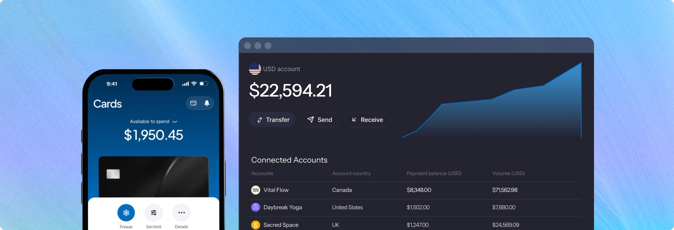 USD account dashboard showing balance and connected accounts across countries